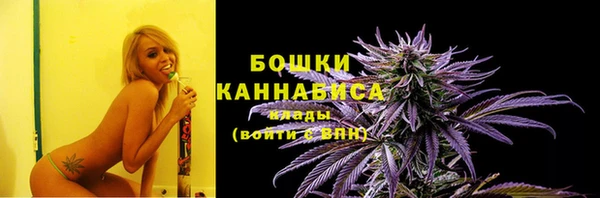 мескалин Богданович