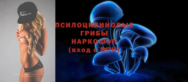 дмт Богородск