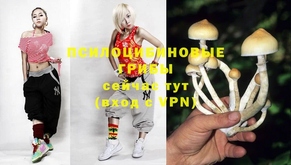 дмт Богородск